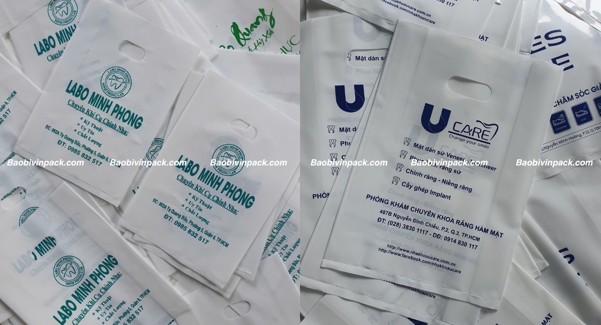 Mẫu túi hột xoài đẹp