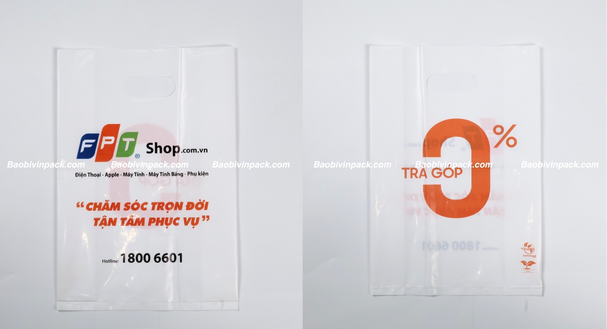 Túi hột xoài tự hủy là gì