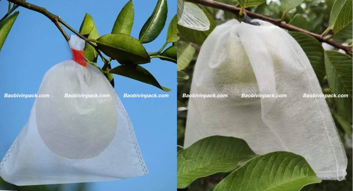 Túi vải bọc bưởi và bọc ổi