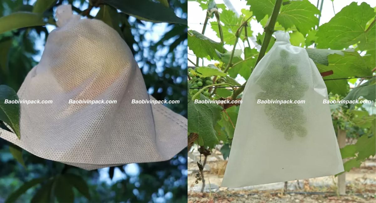 Túi vải bọc trái cây