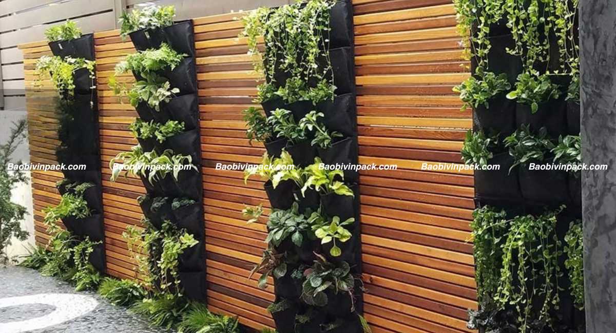 Túi vải trồng cây treo tường