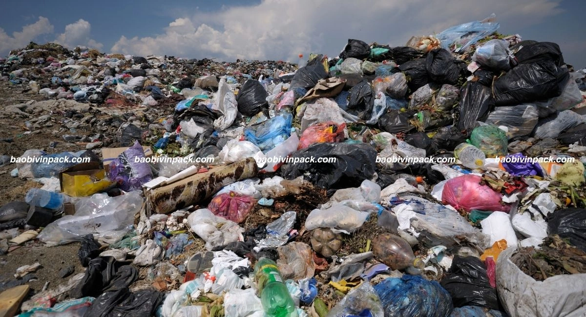 Tác hại túi nilon ô nhiễm môi trường đất và đại dương