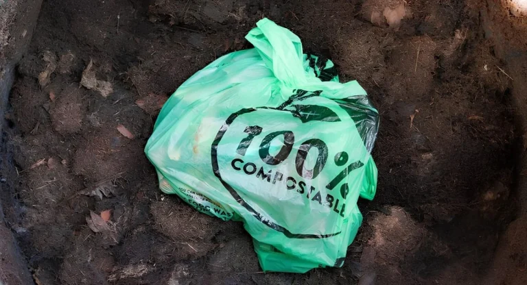 Túi Nilon Tự Hủy Là Gì Và Sử Dụng Có An Toàn Không? Phân Tích Khoa Học Dễ Hiểu